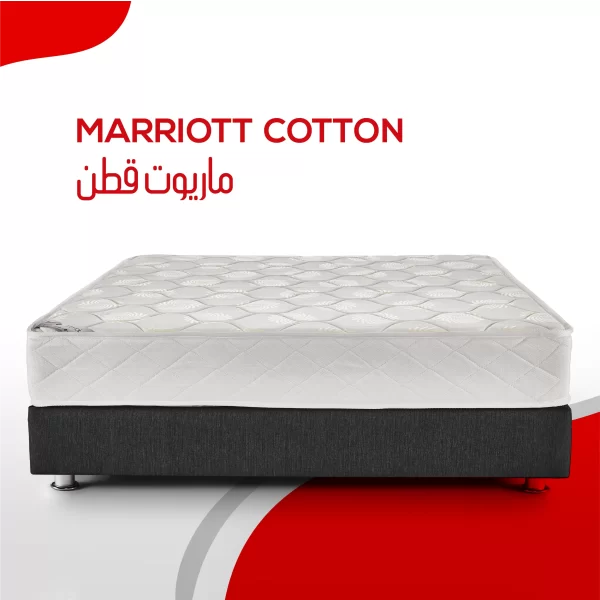 janssen marriott cotton